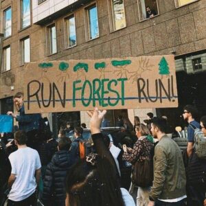 Run, forest - екологія